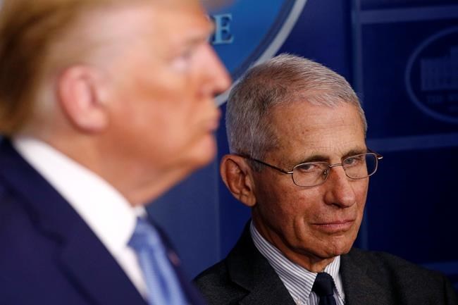 Trump vs Fauci: President's gut sense collides with science | iNFOnews.ca
