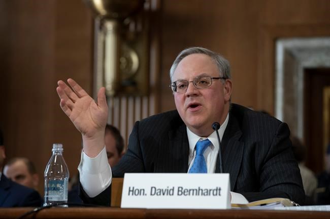 Senate panel backs Interior pick despite conflict allegation | iNFOnews.ca