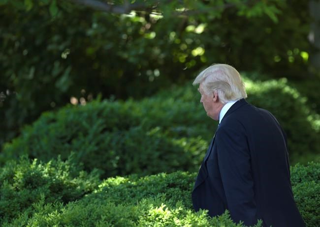 Trump, Putin signal new effort to co-operate on Syria | iNFOnews.ca Trump, Putin signal new effort to co-operate on Syria | iNFOnews.ca