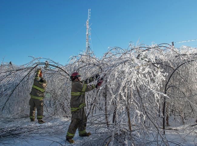 Armed forces deployed to hardest hit areas in the wake of N.B. storm: premier | iNFOnews.ca