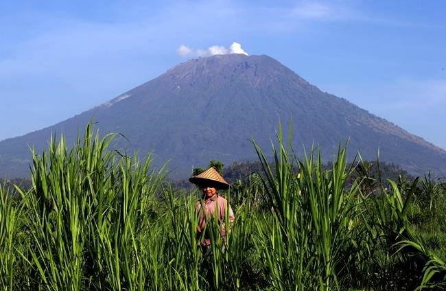 Bali volcano's alert status lowered after decreased activity | iNFOnews.ca