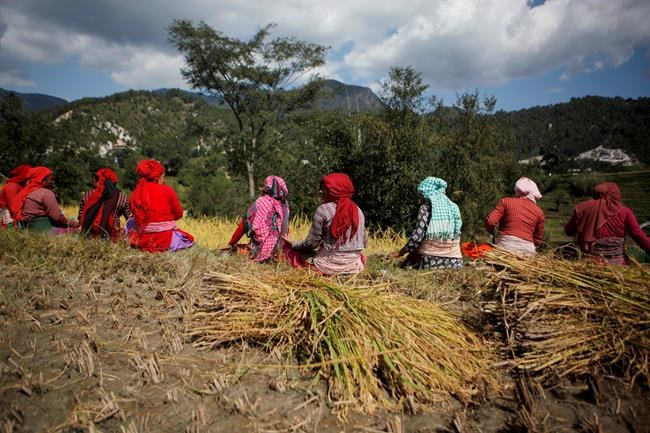 Image of Asia: Taking a break during the harvest in Nepal | iNFOnews.ca CP508442807