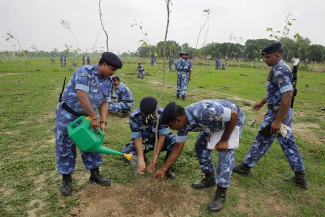 India state aims to plant a record 50 million trees in a day | iNFOnews.ca India state aims to plant a record 50 million trees in a day | iNFOnews.ca