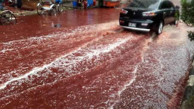 Animal sacrifices turn Dhaka streets into rivers of blood | iNFOnews.ca Animal sacrifices turn Dhaka streets into rivers of blood | iNFOnews.ca