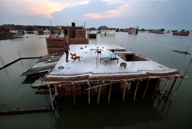 Flood waters stabilize in India, but thousands evacuated | iNFOnews.ca CP399675468
