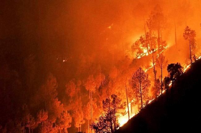 Wildfires sweep through mountain forests in north India | iNFOnews.ca Wildfires sweep through mountain forests in north India | iNFOnews.ca
