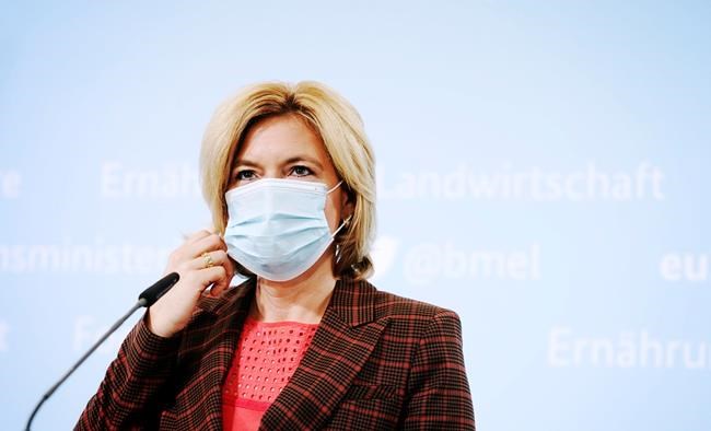 Germany confirms 1st case of swine fever on its territory | iNFOnews.ca