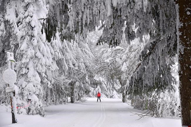 Freezing temps bring Europe traffic chaos, smog, avalanche | iNFOnews.ca