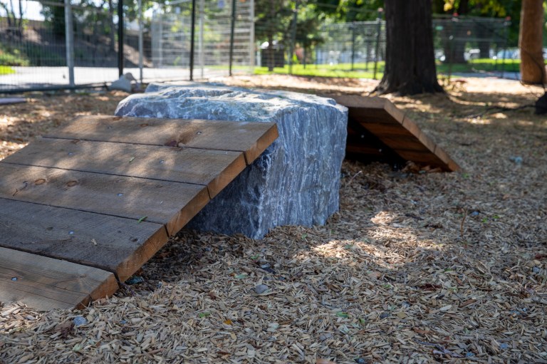 A dog ramp in some wood chips.