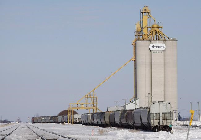 World hungry for Canadian grain amid pandemic, with shipments abroad rising | iNFOnews.ca CP1947137525