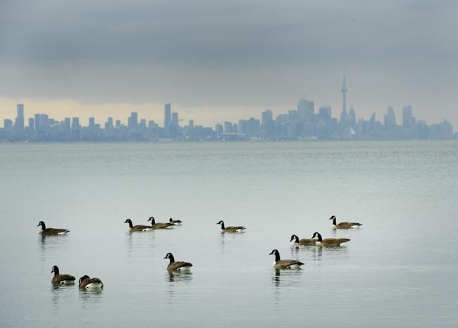 COVID-19 economic slowdown has cut air pollution in Canadian cities | iNFOnews.ca COVID-19 economic slowdown has cut air pollution in Canadian cities | iNFOnews.ca
