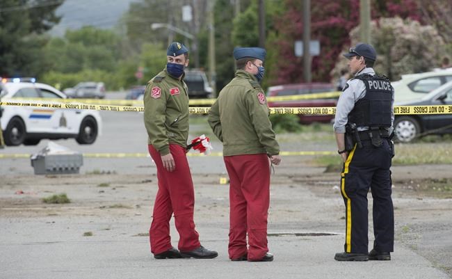 Bird strike might have caused Snowbird crash, early investigation finds | iNFOnews.ca