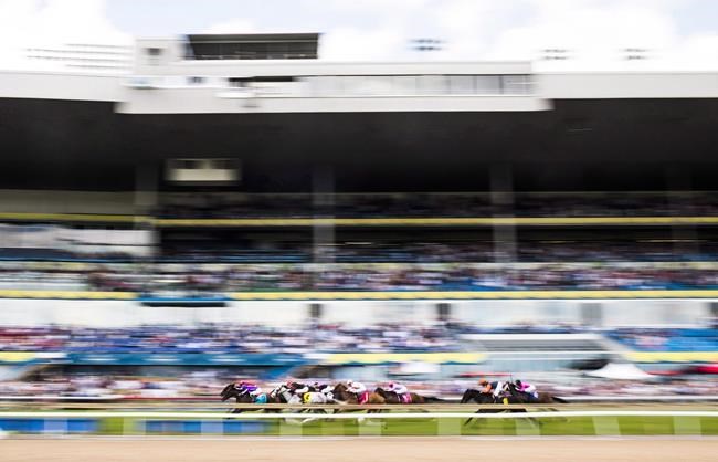 Woodbine Entertainment to make pitch to offer historical horse race wagering | iNFOnews.ca