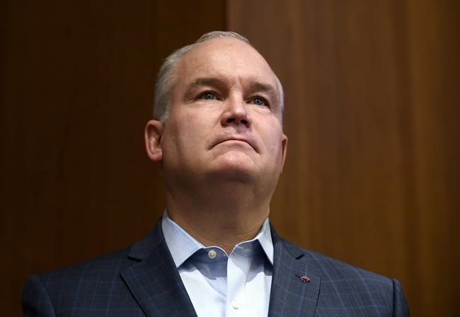 Court gives Conservative leadership candidate crack at entering race | iNFOnews.ca Court gives Conservative leadership candidate crack at entering race | iNFOnews.ca