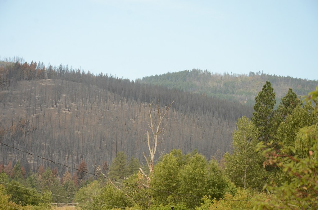 Glad to be back home, North Okanagan wildfire evacuees filled with gratitude, and sorrow | iNFOnews.ca Glad to be back home, North Okanagan wildfire evacuees filled with gratitude, and sorrow | iNFOnews.ca