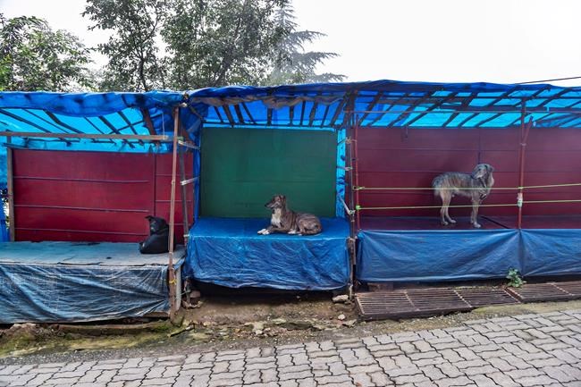 Asia Today: Australia's Victoria state imposes curfew | iNFOnews.ca