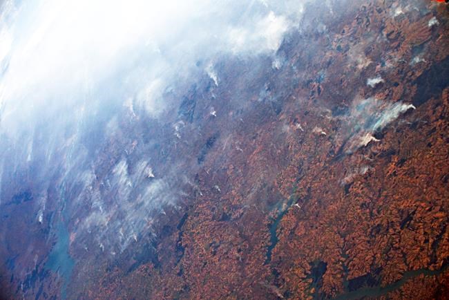 AP Explains: Role of the Amazon in global climate change | iNFOnews.ca