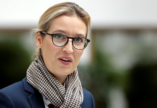 German far right party leader defends questioned donations | iNFOnews.ca
