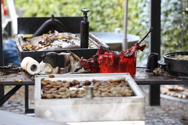 1 dead, 14 hurt by frying pan blast at German village fest | iNFOnews.ca
