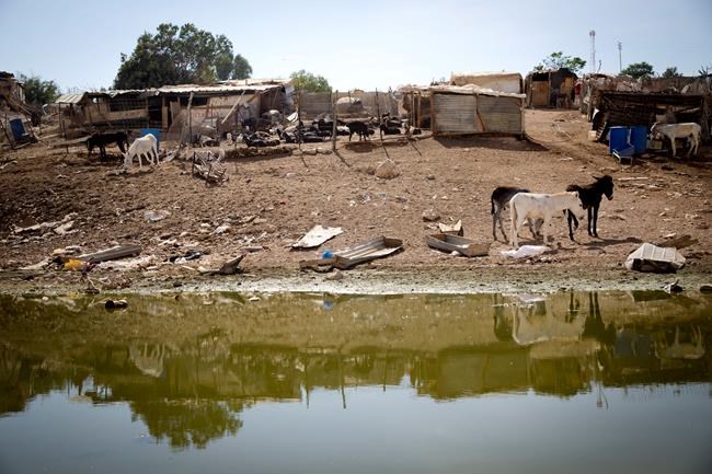 Sewage pool rings West Bank village awaiting demolition | iNFOnews.ca CP2069079669
