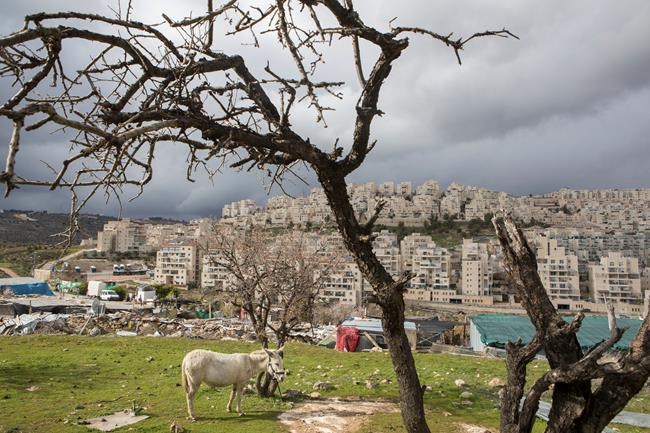 50 years after war, settlements blur future borders | iNFOnews.ca