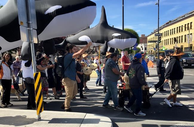 Indigenous drummers lead pipeline protesters on 22-kilometre march in Victoria | iNFOnews.ca