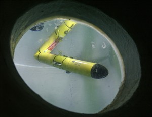 CP29389837