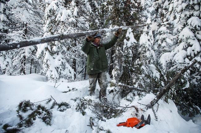Natural gas pipeline company posts 72-hour notice to clear way in northern B.C. | iNFOnews.ca