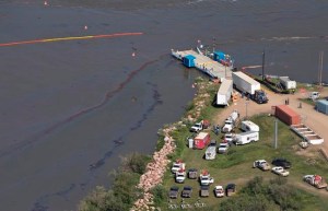 CP1658899381