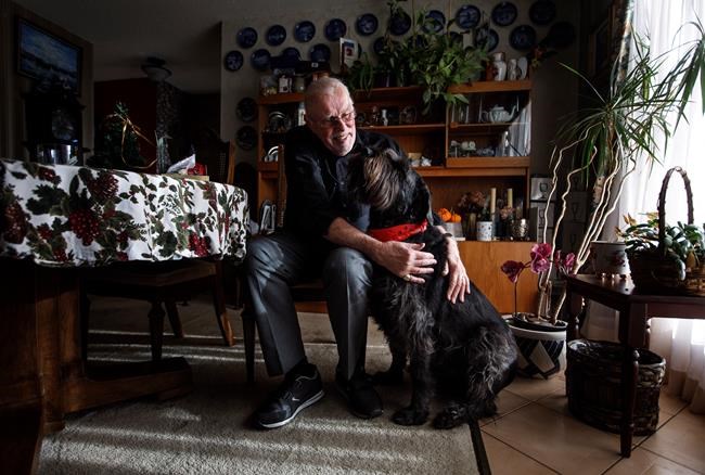 National blood shortage prompts call for dog donors at clinics in Alberta | iNFOnews.ca National blood shortage prompts call for dog donors at clinics in Alberta | iNFOnews.ca