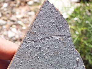 CP19232662