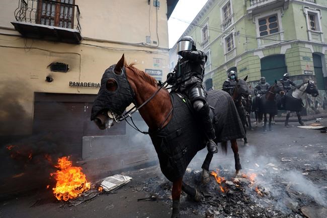 Ecuador's protesters march; clashes break out in Quito | iNFOnews.ca CP65071843