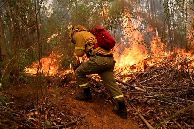 More than 100 fast-spreading wildfires rage in Chile | iNFOnews.ca More than 100 fast-spreading wildfires rage in Chile | iNFOnews.ca