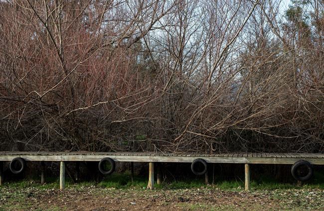 Worst drought in decades hits Chile capital and outskirts | iNFOnews.ca Worst drought in decades hits Chile capital and outskirts | iNFOnews.ca