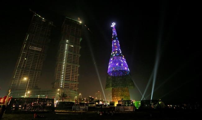CP311275856