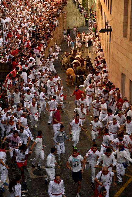 3 gored in Pamplona's first running of the bulls of 2017 | iNFOnews.ca 3 gored in Pamplona's first running of the bulls of 2017 | iNFOnews.ca
