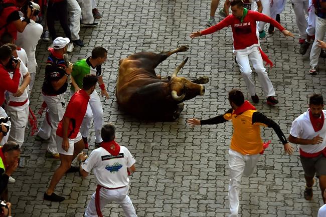 3 injured running with bulls in the streets of Pamplona | iNFOnews.ca 3 injured running with bulls in the streets of Pamplona | iNFOnews.ca