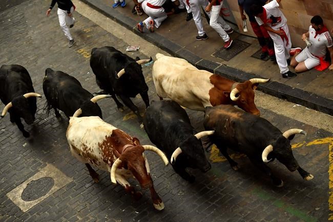 3 runners gored racing with bulls at Pamplona's festival | iNFOnews.ca