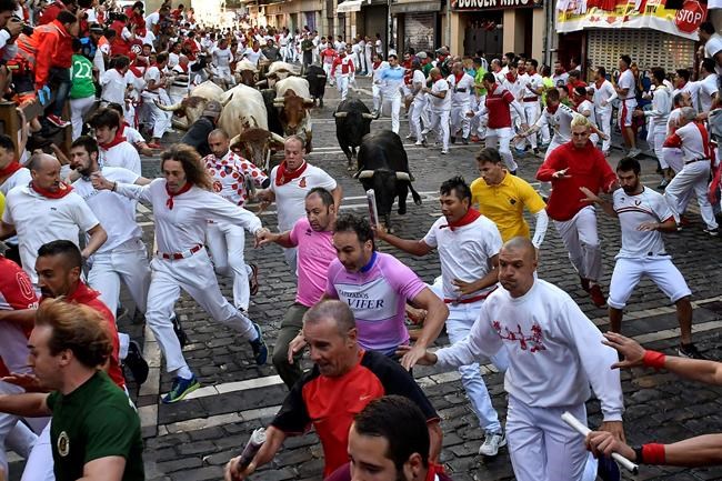 Veteran bull runners protest lack of thrills in Pamplona | iNFOnews.ca Veteran bull runners protest lack of thrills in Pamplona | iNFOnews.ca