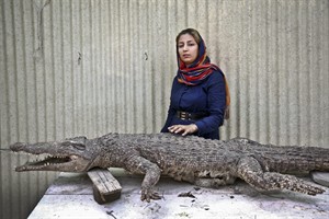 Female entrepreneur in Iran breeds crocodiles as leaders promote 'economy of resistance' | iNFOnews.ca CP28171452