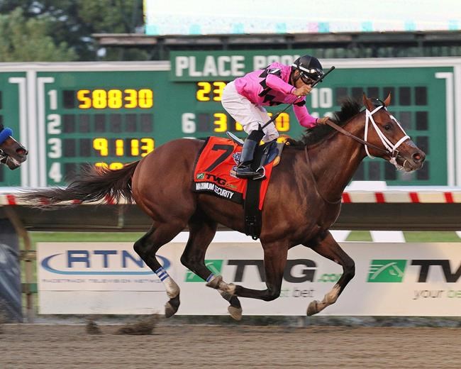 Maximum Security wins Haskell, survives inquiry | iNFOnews.ca Maximum Security wins Haskell, survives inquiry | iNFOnews.ca
