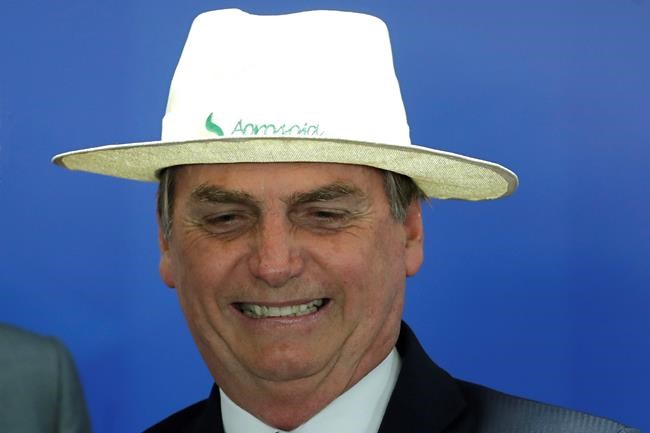 Brazil removing independents from drugs policy council | iNFOnews.ca