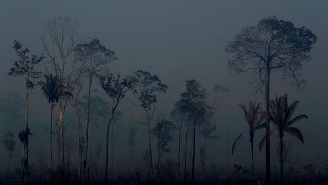 Brazil's Bolsonaro causes global outrage over Amazon fires | iNFOnews.ca
