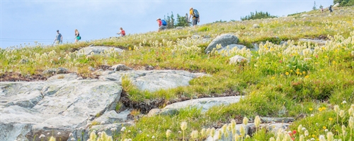 Geo Hiking at Big White | iNFOnews.ca Geo Hiking at Big White