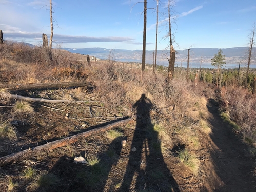 Sunday MTB Group Ride