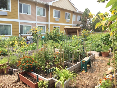 Tea and Yoga in the Garden August 25