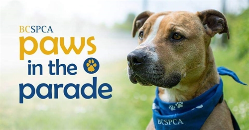 Shuswap Paws in the Parade | iNFOnews.ca Shuswap Paws in the Parade