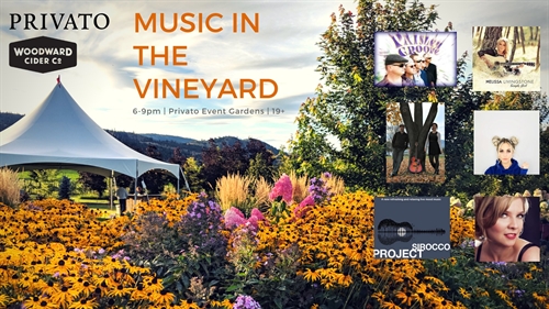 Music in the Vineyard, Friday Night fest’s at Privato