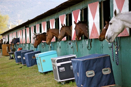 Fall Dressage % Day and Schooling