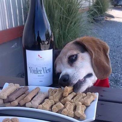 Wine & Wags | iNFOnews.ca Wine & Wags